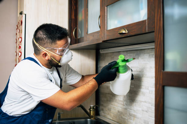 Best Exterminator Services  in Macarthur, WV