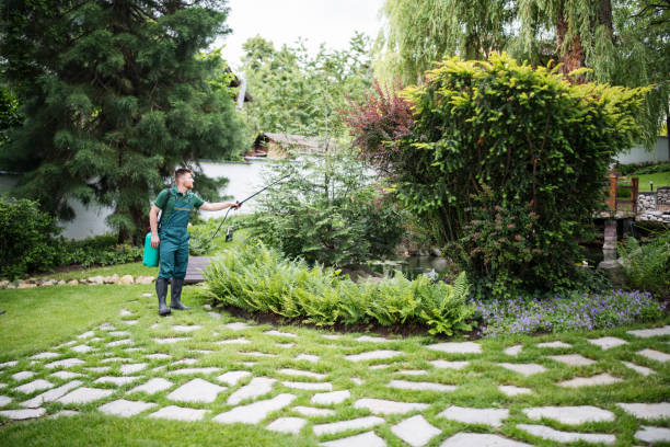 Best Pest Prevention Services  in Macarthur, WV