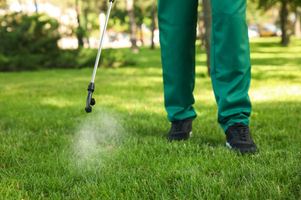 Reliable Macarthur, WV Pest Control Solutions